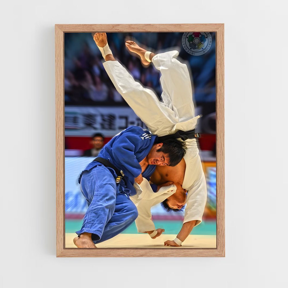 Poster Judo Legend (vue 4)